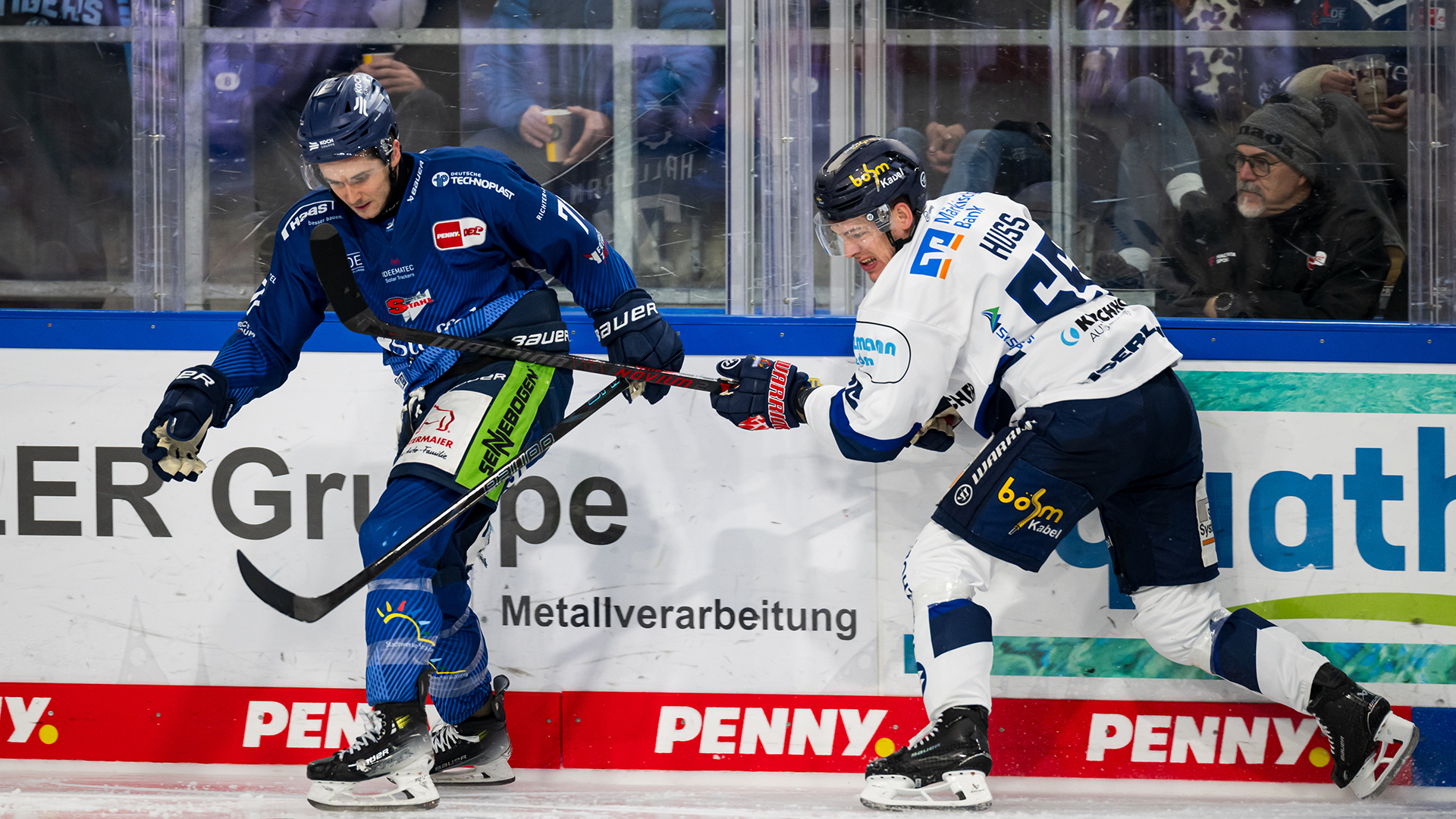 Straubing Tigers gg. Iserlohn Roosters